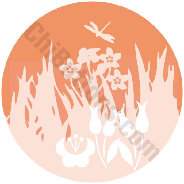 SC01-00300-0008